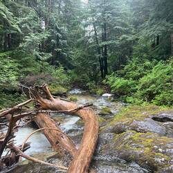 Looking downstream from the falls.
