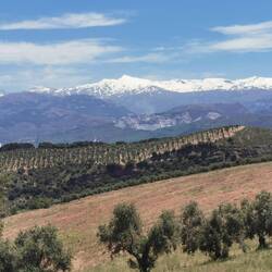 No to je pa gospa Sierra Nevada z Veleto na sredini!
