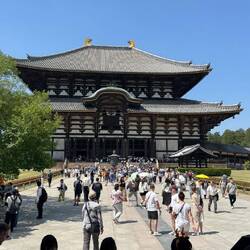 „Nara überrascht sofort: riesige Tempel, strahlender Himmel und überall dieses besondere Japan-Gefüh
