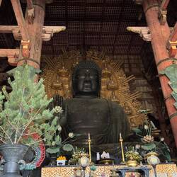 „Der große Buddha von Nara – beeindruckend ruhig und gleichzeitig einfach gigantisch. 🙏