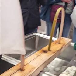 Hier sieht man wie die Cocons zur Decke werden