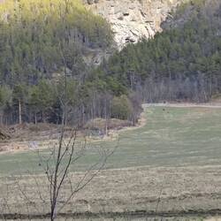 Mal wieder ein Elchsuchbild