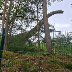 Dino-Park Münchehagen