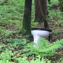 Biokomposttoilette bereitgestellt von Dummies