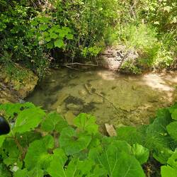 Pristine water