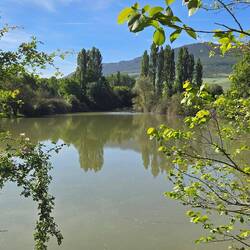 On the way to Alto de Perdon