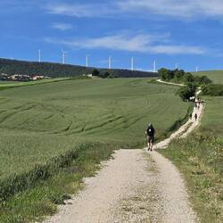 On the way to Alto de Perdon