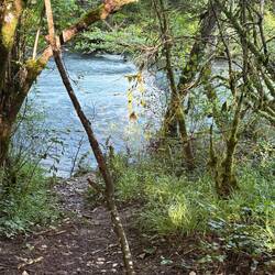 Listening to the river is amazing -- except when you really have to go to the bathroom.
