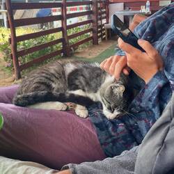 Wirklich sehr kuscheliger Kater