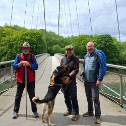 Nach 10 km erreichen wir endlich die schicke Brücke über die Urfttalsperre.