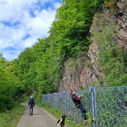 Slowwalker testet den Sicherheitszaun.