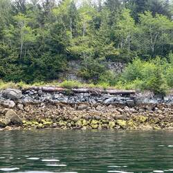 Old logging dump in Grebe Cove