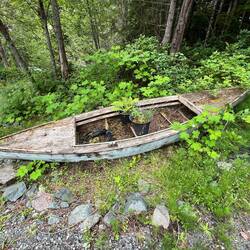Old boat near an Echo Bay residence
