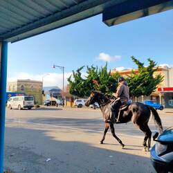 Horse trotting thru the main street in town 😂