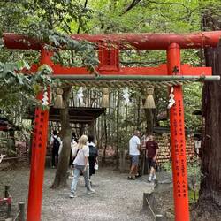 Mitten im Wald von Fushimi Inari – fernab der großen Wege wirkt Kyoto fast magisch. ⛩️🌿