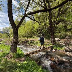This river actually had a bridge!!!!