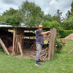 The old woodshed disassembly begins