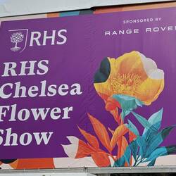 Die RHS Chelsea Flower Show findet alljährlich im Mai...