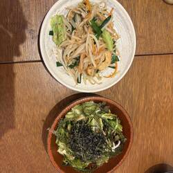 Sojasprossen mit Tofu und ein grüner Salat mit gekochtem Thunfisch und grünem Algen Kaviar.