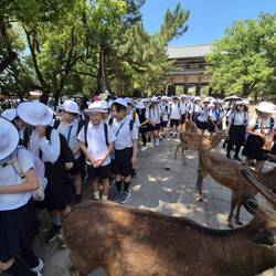 „Schuluniformen, Sonnenhüte und ganz viel Disziplin.“ 👒🇯🇵
