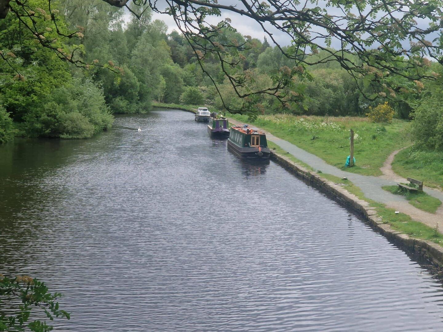 The wide channel made it feel a bit like a river