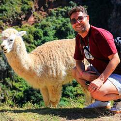 Fun Fakt: die Lamas werden von Tourismusministerium gesponsort
