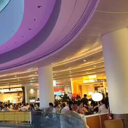Singapore Airport - said to be really awesome, but that's the only cool thing I saw with my luggage.