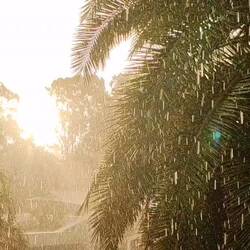 Noosa sunset with rain