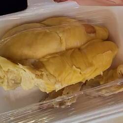 Fondling of the Durian...