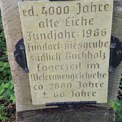 Großartige Ankündigung...