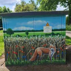 Endlich habe ich auch mal einen Fuchs gesehen🤣