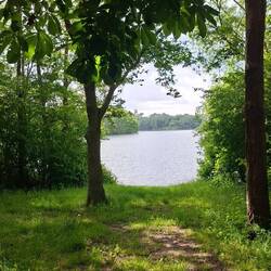 Blick auf einen der vielen Seen