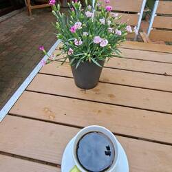 Unerwartete Kaffeepause👍 Café Weserscheune hat Seniorenfrühstück🤣
