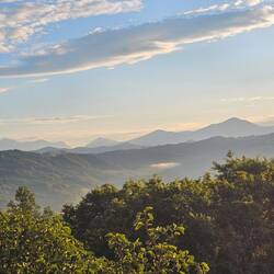 My view this morning