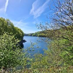 Die ganze Runde mit Seeblick!