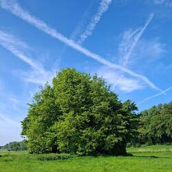 Wolken mal anders😃