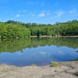 See im Wald bei Petershagen