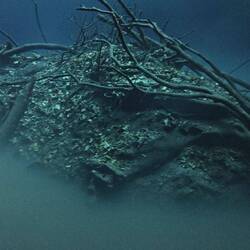 Cenote Angelita / Sulfur Schicht