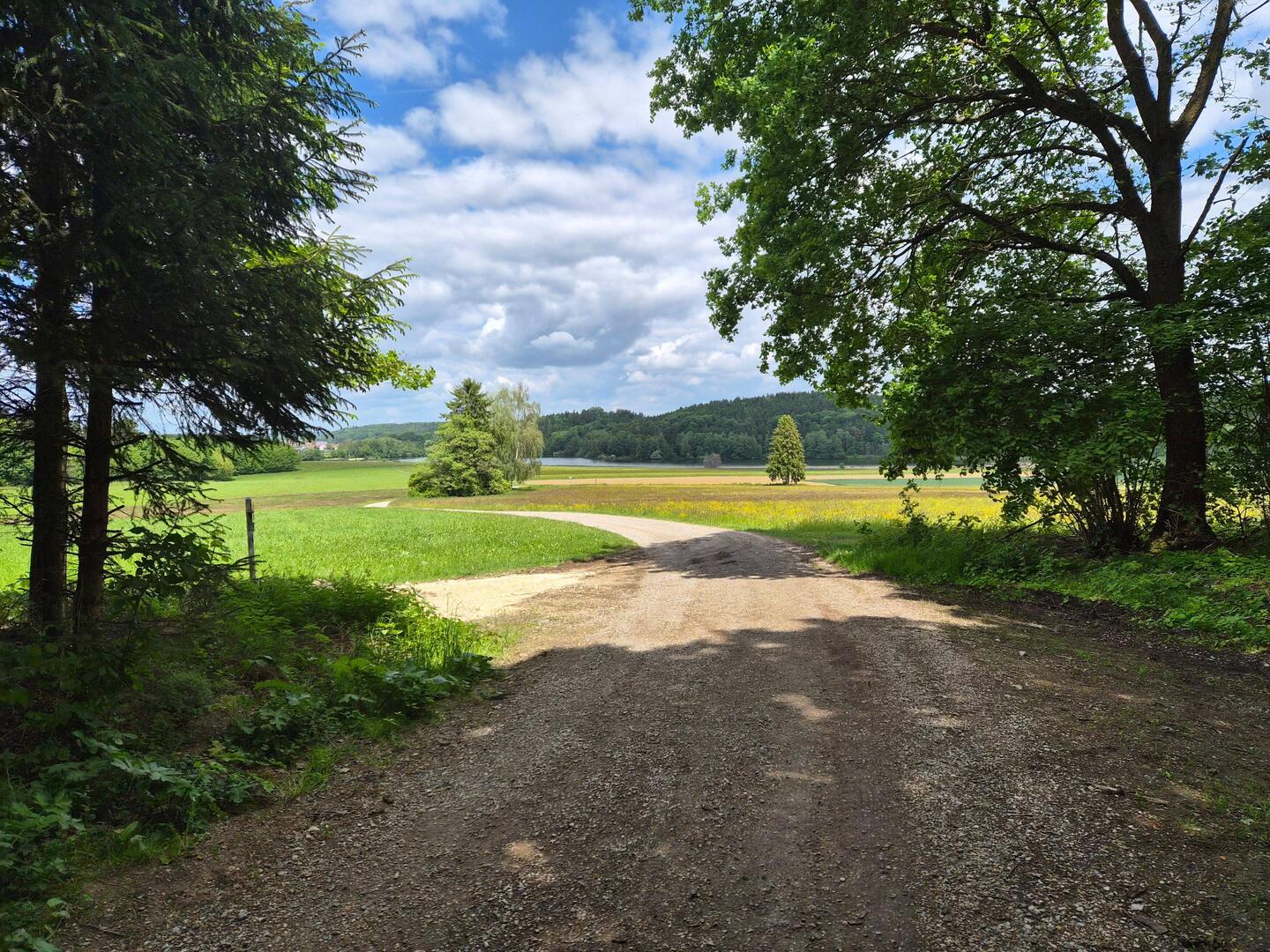 Vanuit het bos weer open land in.