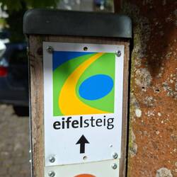 Mein einziger Begleiter