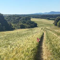 The detour was well marked, but the tractor tire ruts were hard to walk on.