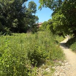 PLEASE let that be it. It was, but we are on the far side, so more walking today (less tomorrow).