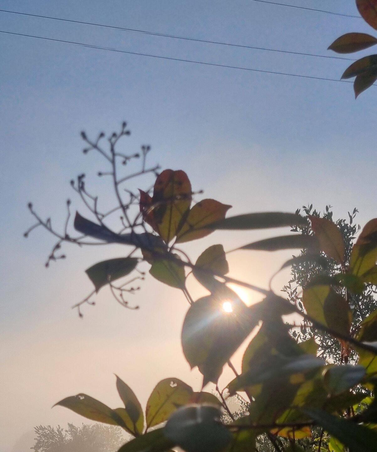 Was für ein Morgen...
