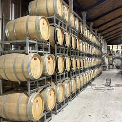 Winery tour - they produce 7.5 million bottles a year