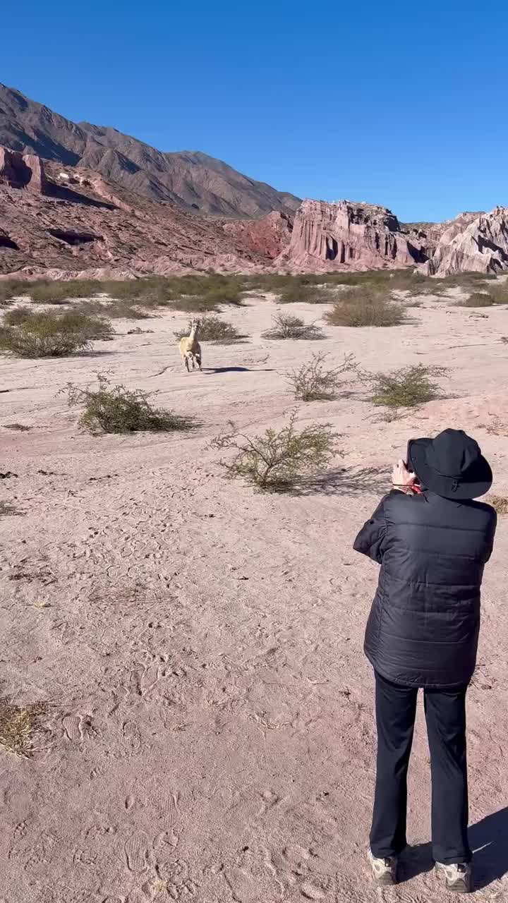 Llama charges up to us and right into our guide.
