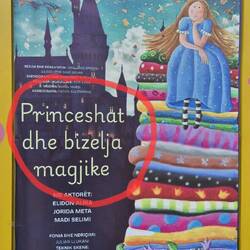 Albanisch lernen - Prinzessin auf der Erbse