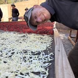 Michael checking out the drying onions