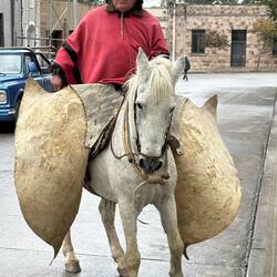 And met a real gaucho! The wild chaps are to keep the rider safe from cactus.