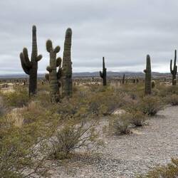 Desolate landscape in the national park