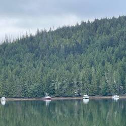 There was one large fishing trawler anchored in Stopford with us.